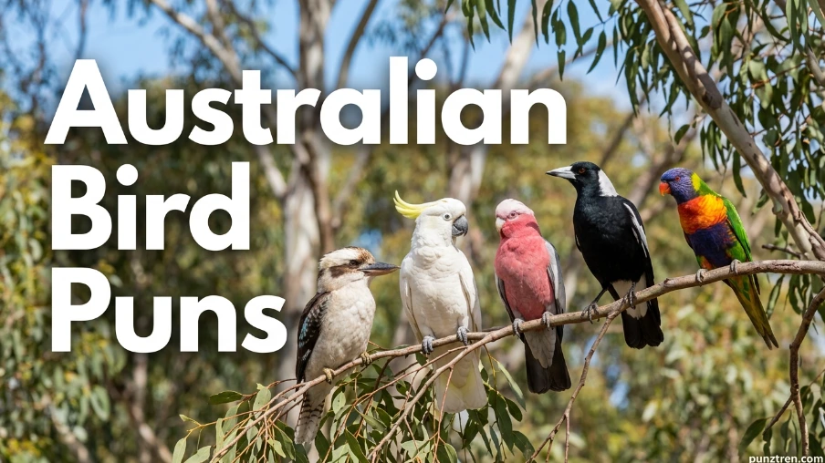 🦜 Australian Bird Puns